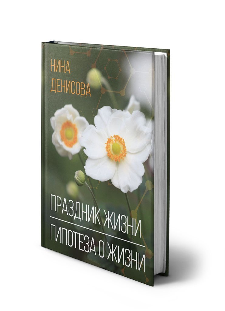 Праздник жизни, Гипотеза о жизни